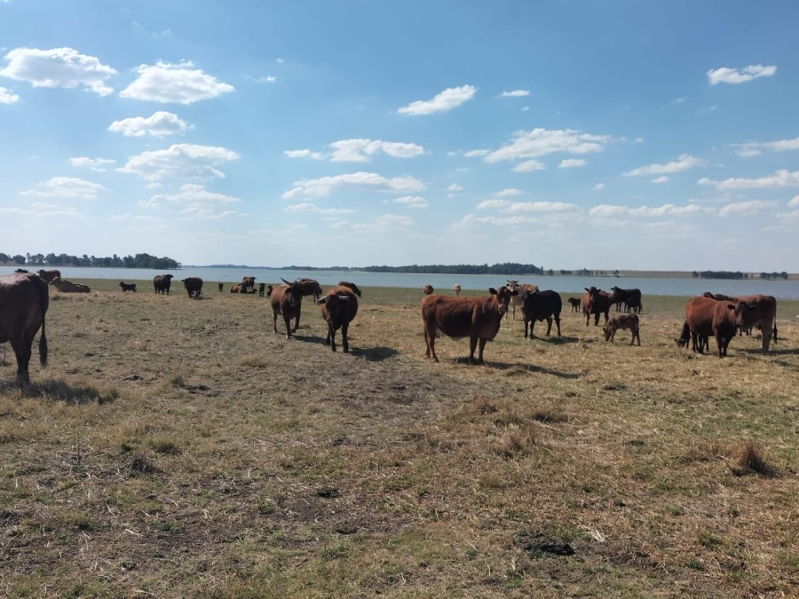 0 Bedroom Property for Sale in Frankfort Free State